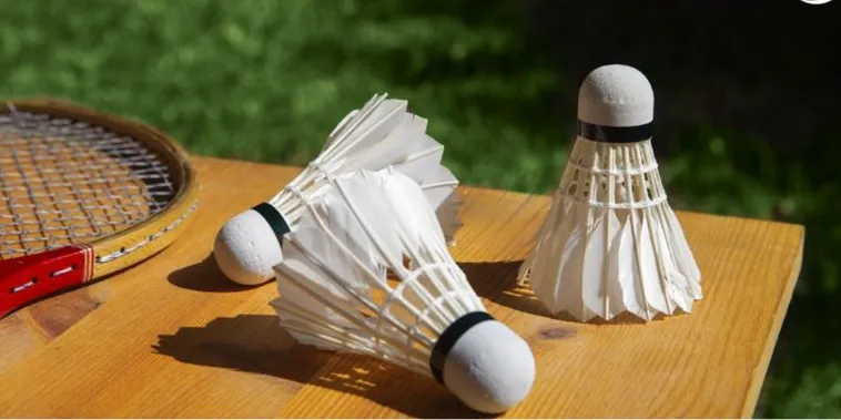 Hướng Dẫn Cá Cược Cầu Lông Tại New88 Cho Người Mới 2 Hướng Dẫn Cá Cược Cầu Lông Tại New88 Cho Người Mới